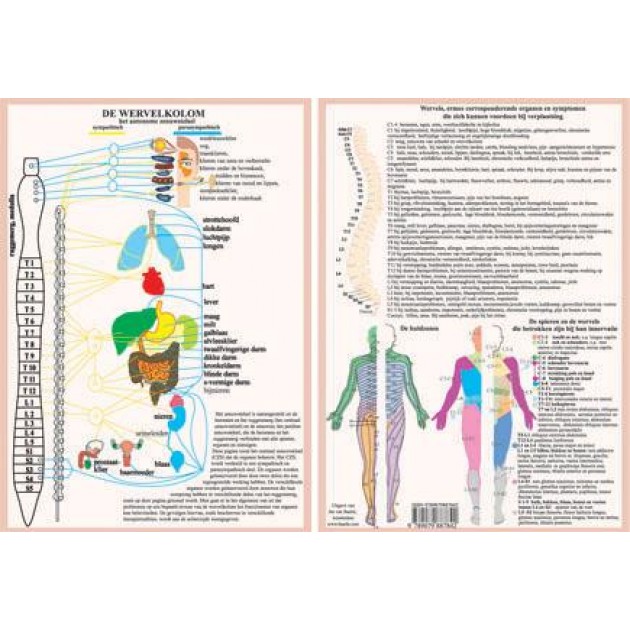 Anatomische Kaart A4 Wervelkolom