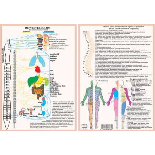Anatomische Kaart A4 Wervelkolom Anatomische Kaart A4 Wervelkolom
